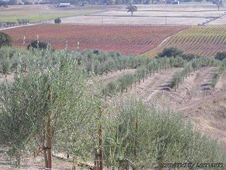 Alta Cresta Orchard & Inn Paso Robles Facilități foto
